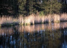 Picture 041